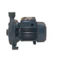 Pedrollo Cpm 158 0.75kw Pump