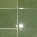 Botanique Ceramic Wall Tiles 30cm*60cm- 5pcs Per Carton Nitco