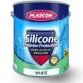 Plascon Silicone Exterior Paint