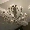 Tulips Cup Chandelier