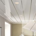 PVC CEILING