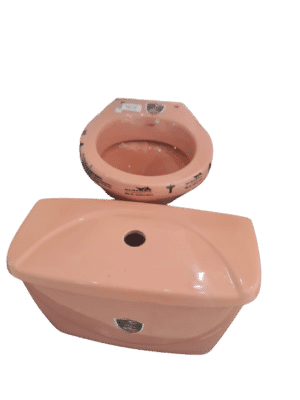 Pink P-trap Toilet Clayart+ Cistern