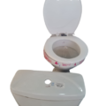 White P-trap Toilet Clayart+ Cistern