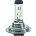 H7 Bulb 12v