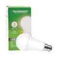 Tledb-5w B22 Terminator Led Bulb 5w Day Light B22